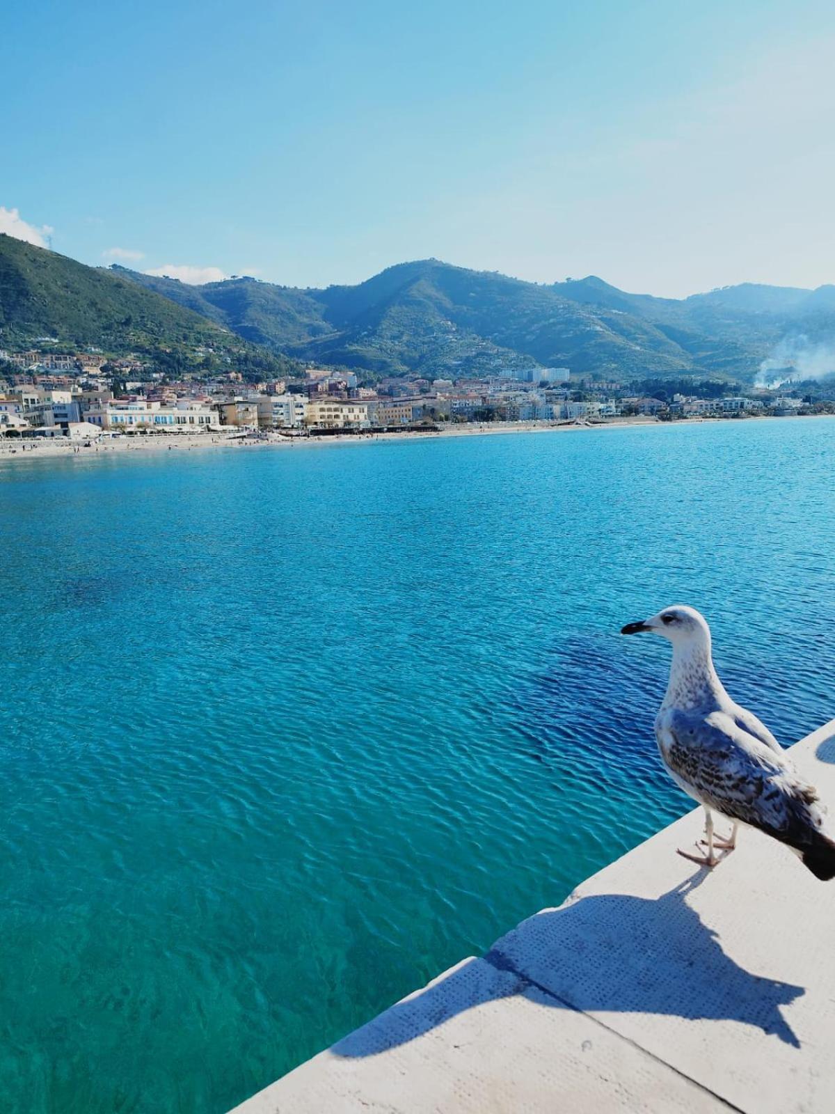 Casa Vacanze U Curtigghiu Cefalù Dış mekan fotoğraf